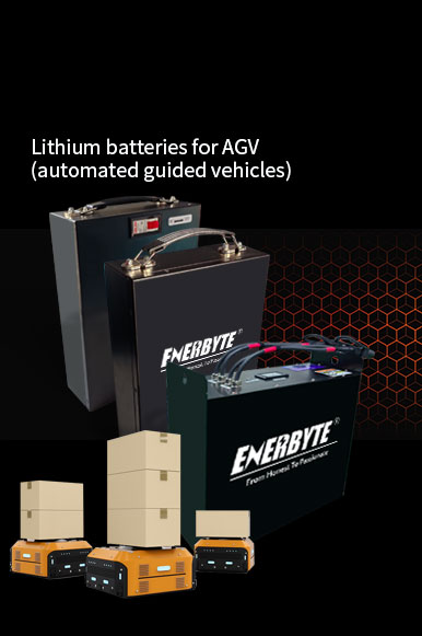 Battery OEM customization