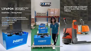 Electric Forklift Battery 25.6V 300AH